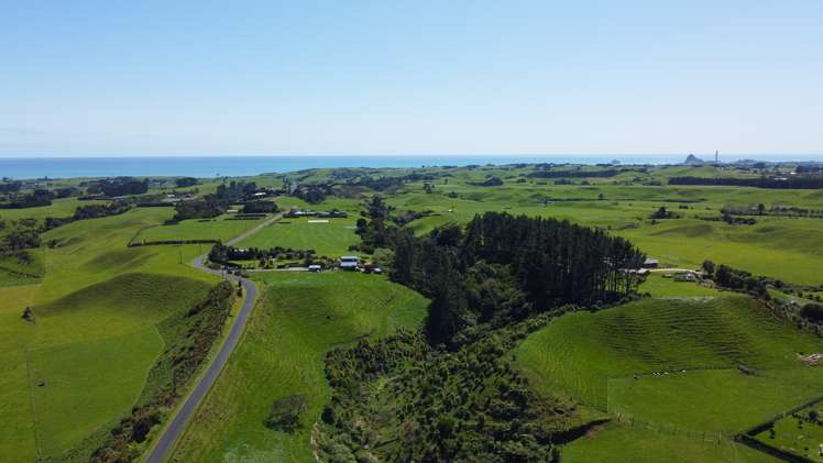 407 Plymouth Road Koru_25