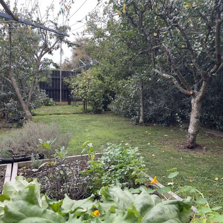 25 Churchill Avenue Richmond_33