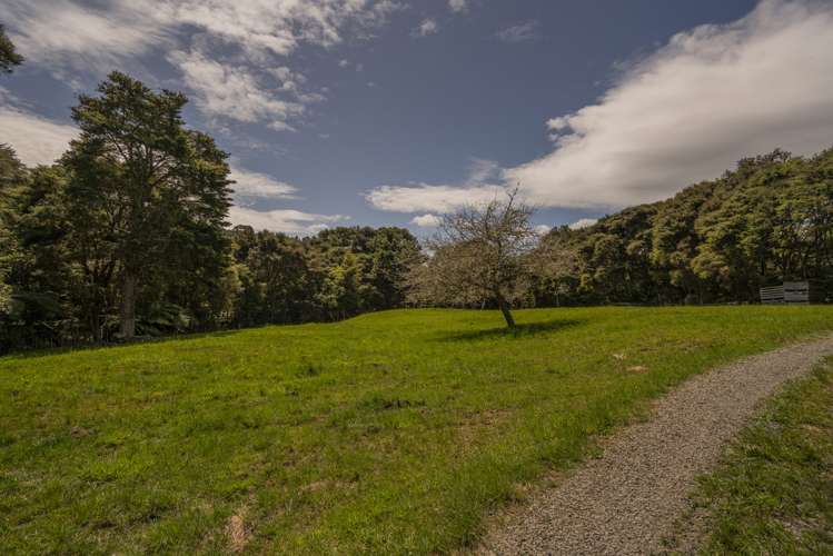 185 Kaimarama Road Kaimarama_19