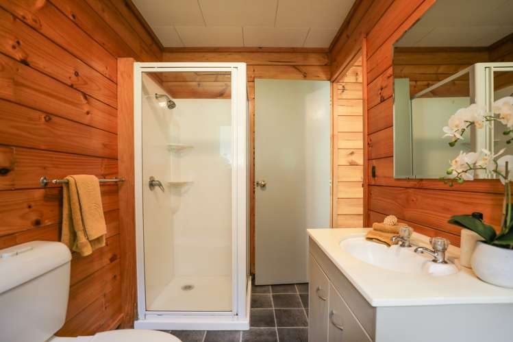 9 Tihi Road Springfield_17