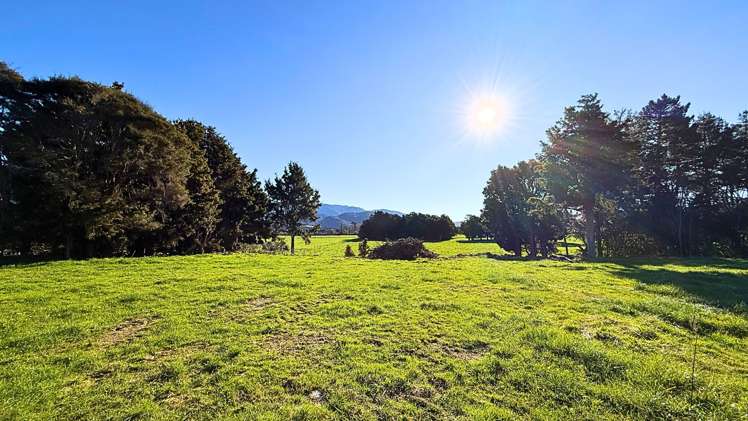 Hamama Road Takaka_6