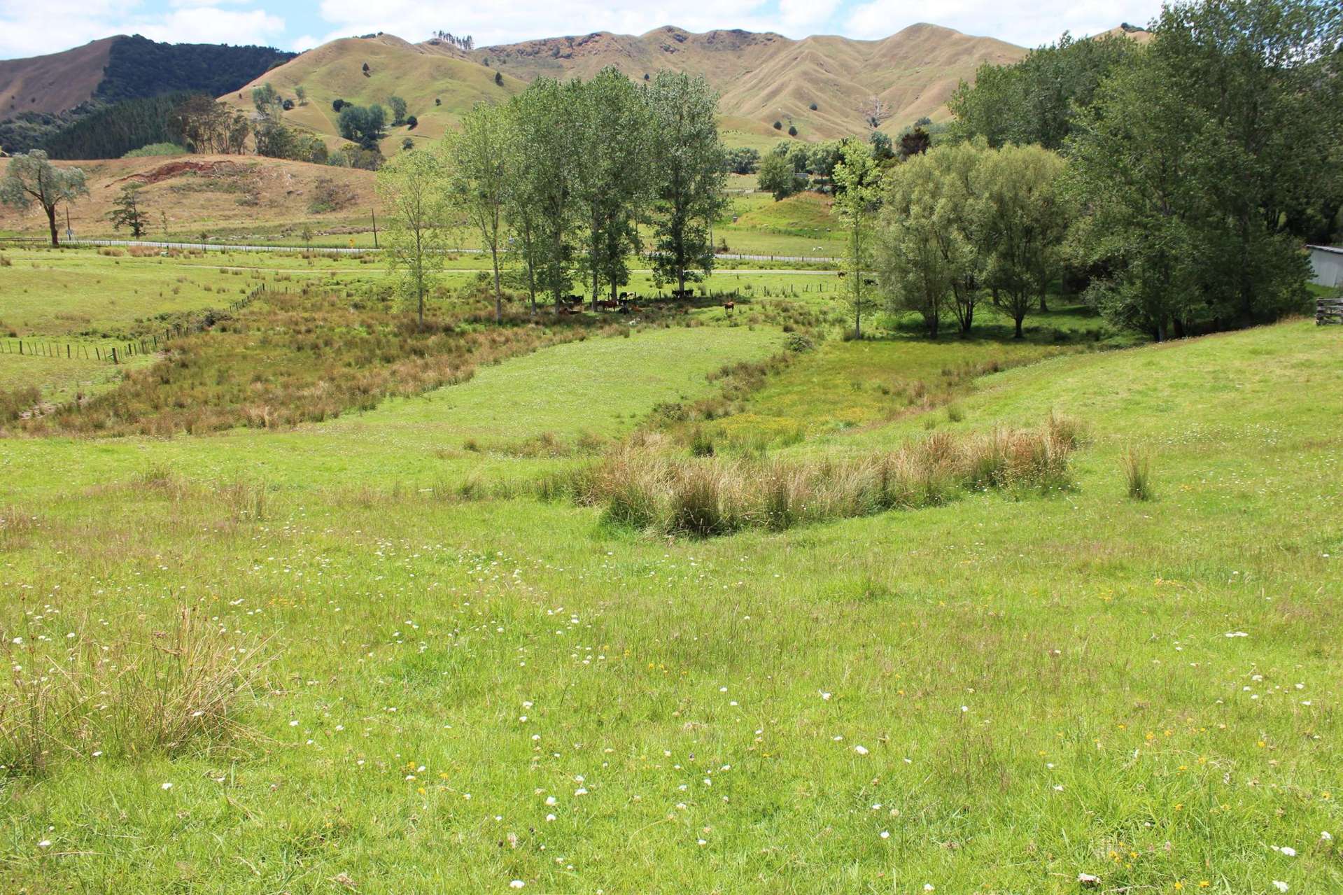 580 Murray Road Dargaville Surrounds_0