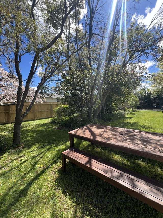87 Opaki Road Lansdowne_2