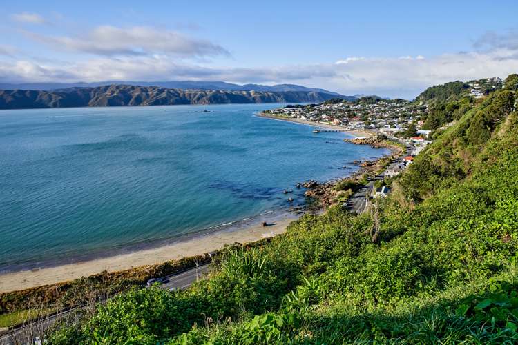 197 Marine Parade Seatoun_17