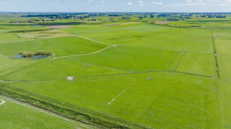 1217 Rangiotu Road Tiakitahuna_5