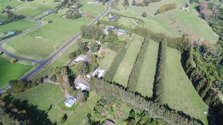 482B Esdaile Road Whakamarama_5