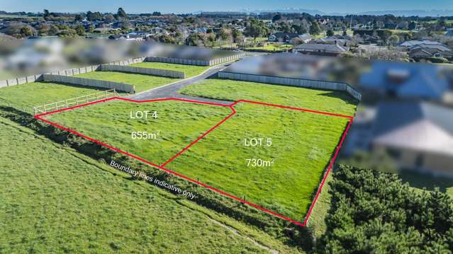 30 Woodville Street Leeston_3