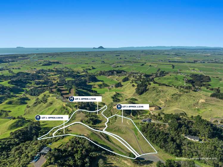 230 Withy Road Matata_19