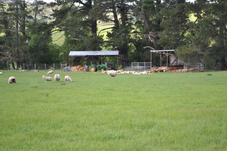 227 Overtons Road Scargill_1