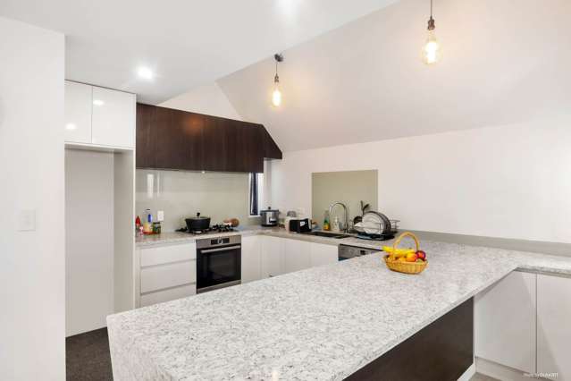 681a Hillsborough Road Mount Roskill_4