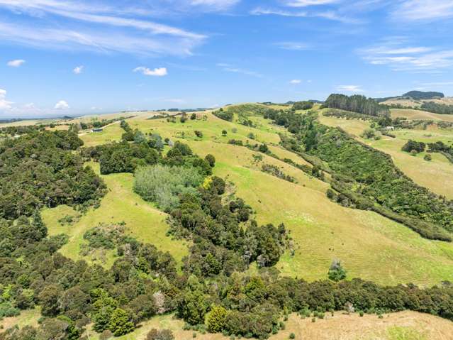 Pasture and Bush with Valley Views!