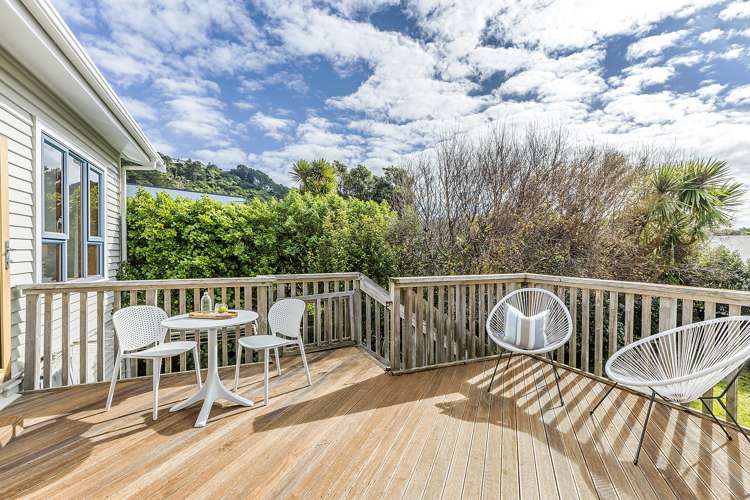 25 Pinnacle Street Seatoun_6
