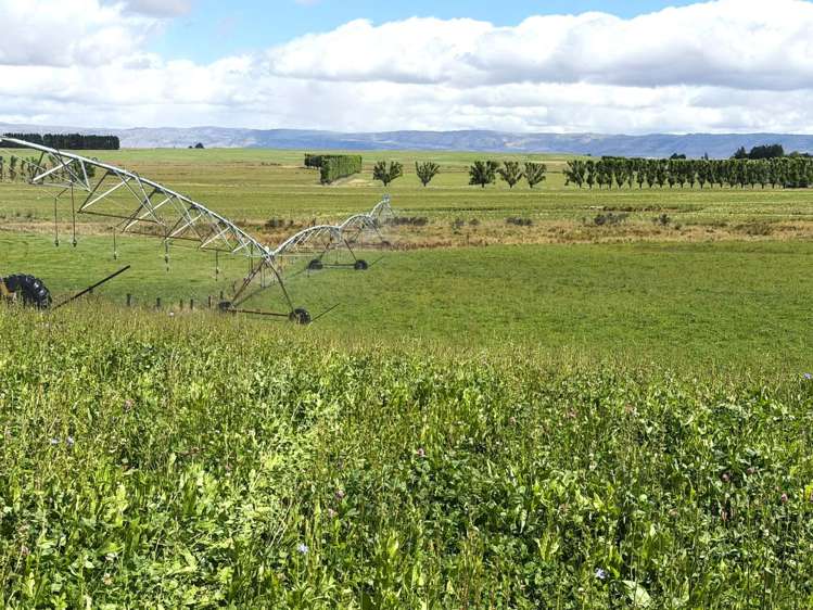 Bypass Road Ranfurly_10