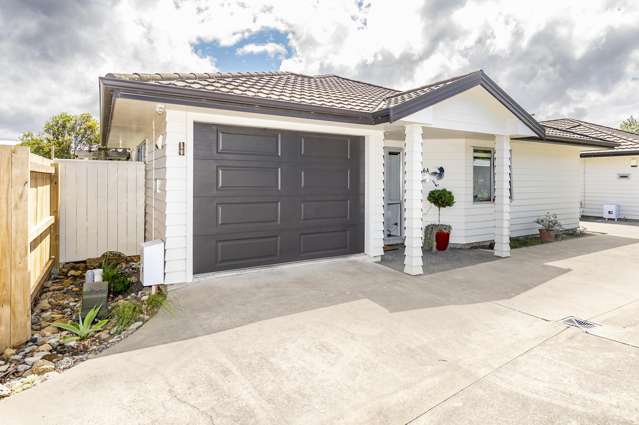 66a Totara Street Tawhero_1