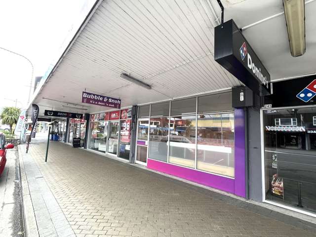 243 Oxford Street Levin_1