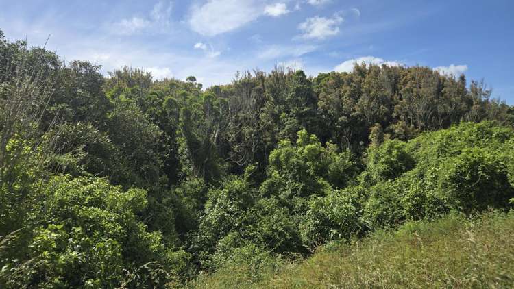 . Opourapa Road Rahotu_13