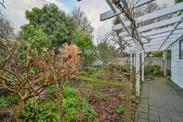 20 Symons Street Parkvale_7