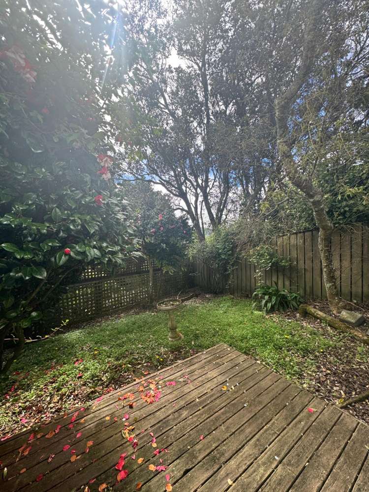 B/108 Messines Road Karori_27