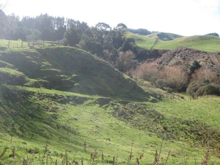 600 Tataramoa Road Rangitikei Surrounds_12
