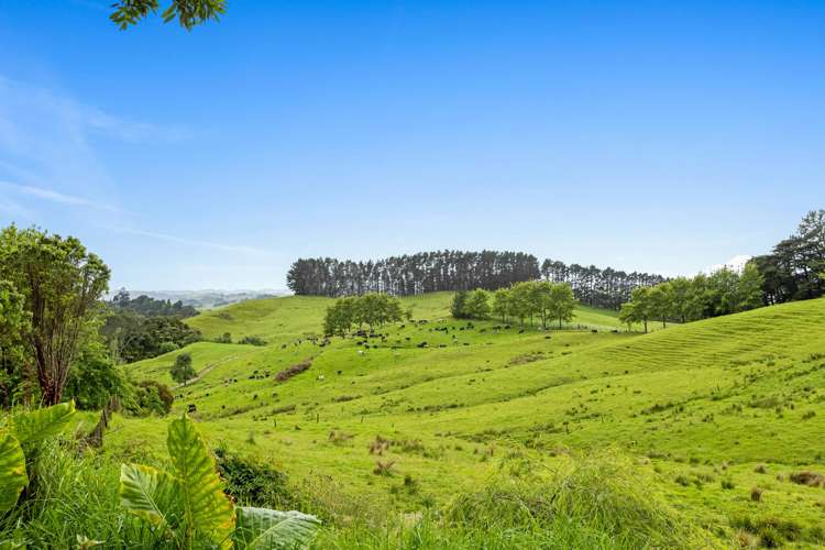 433 Pah Hill Road Wharehine_26