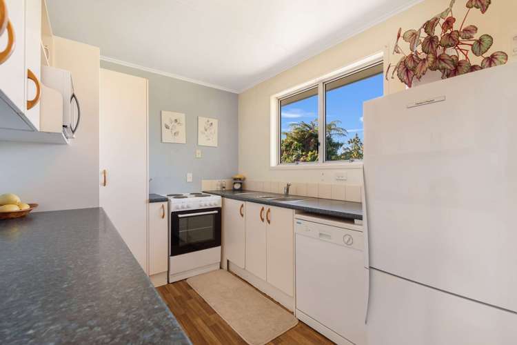 17 Collie Drive Pukehangi_5