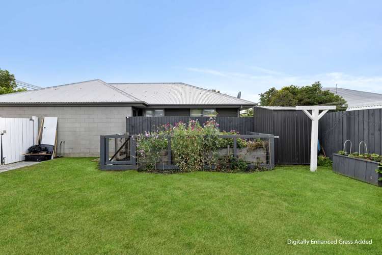 34 Montrose Street Sydenham_15