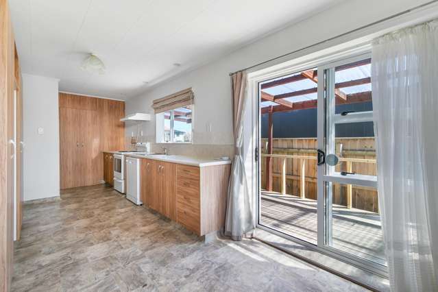 45 Winchester Street Levin_1