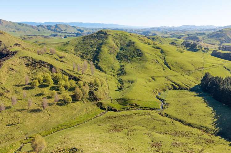 467 Waitahora Valley Road Dannevirke_6