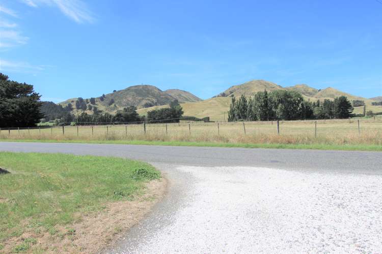 65 Seddon Street Ward_23