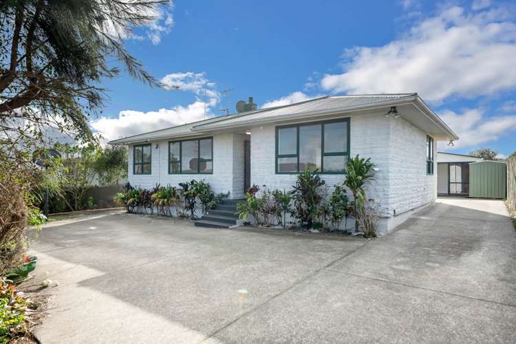 30 Kudu Road Otara_1