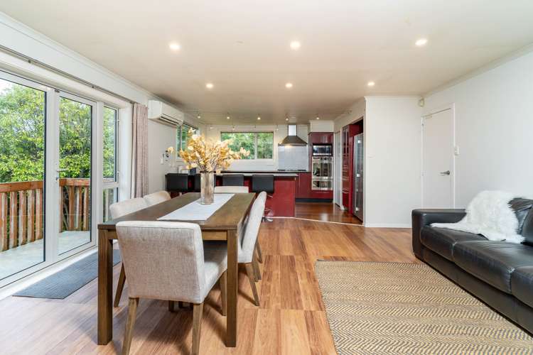 45 Leven Street Roslyn_11