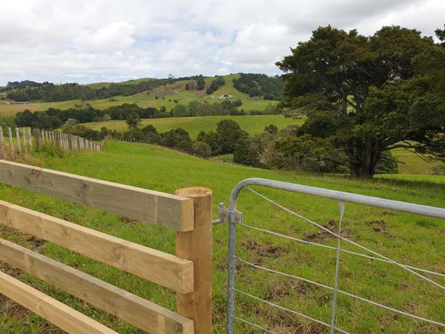 Lot/101 Franklin Road Paparoa_4