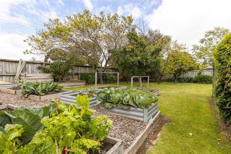 42c Brydon Street Renwick_28