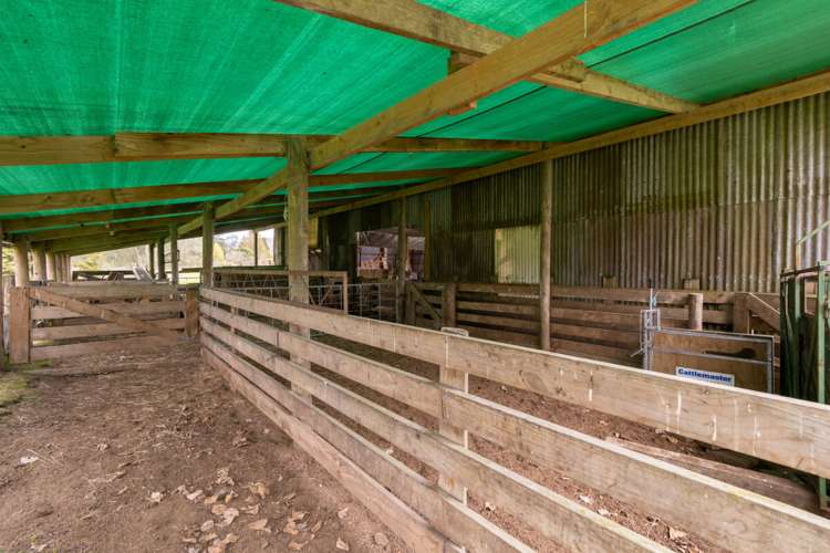 34 State Highway 27 Tirau_18