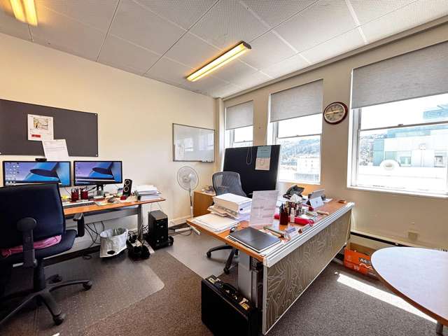 44 Queens Drive Hutt Central_2