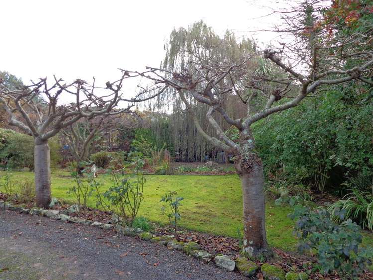 59 Frances Street Balclutha_24