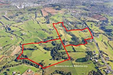 140 Pukekohe East Road_3