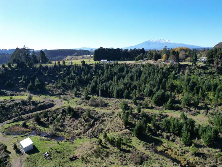 81D Middle Road Raetihi_9