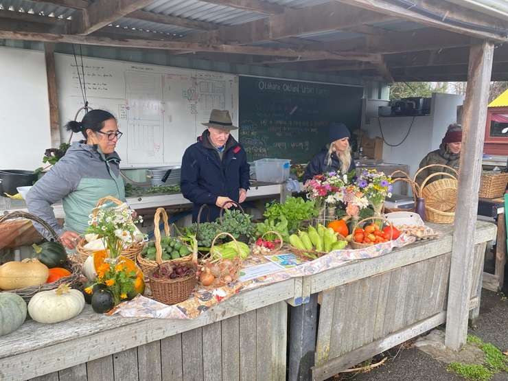 The former site of Cultivate Christchurch has hit the market for sale. The property is being sold by prominent investor Liz Harris. Photo / Supplied