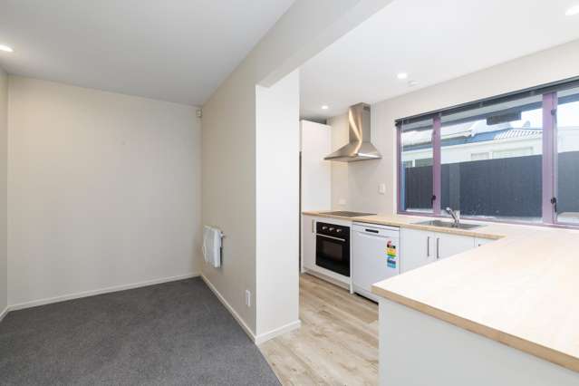 148 Tedder Avenue & 181 Pacific Road North New Brighton_3