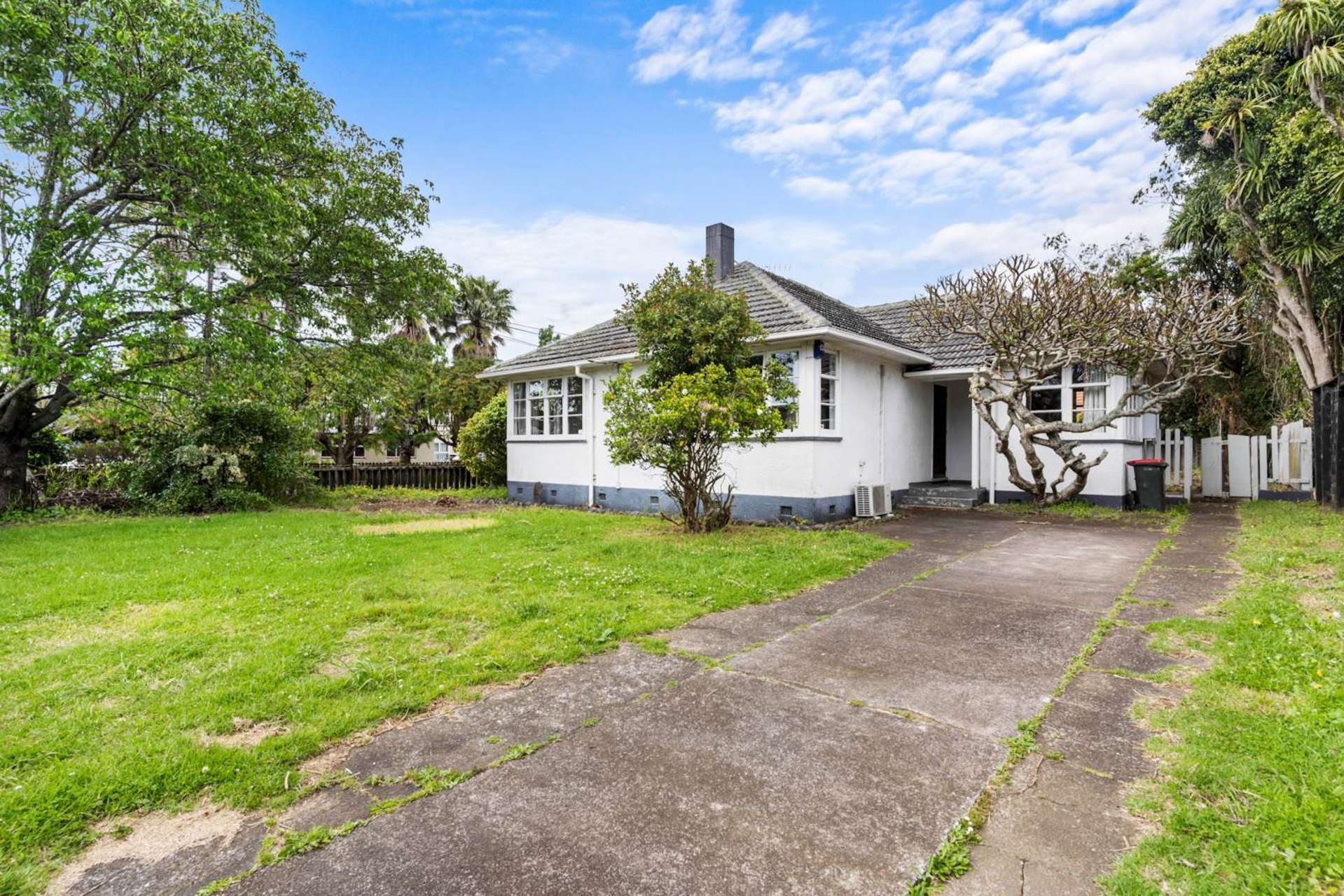 22 Alamein Road Panmure_0