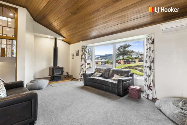 244 Larnach Road Waverley_3