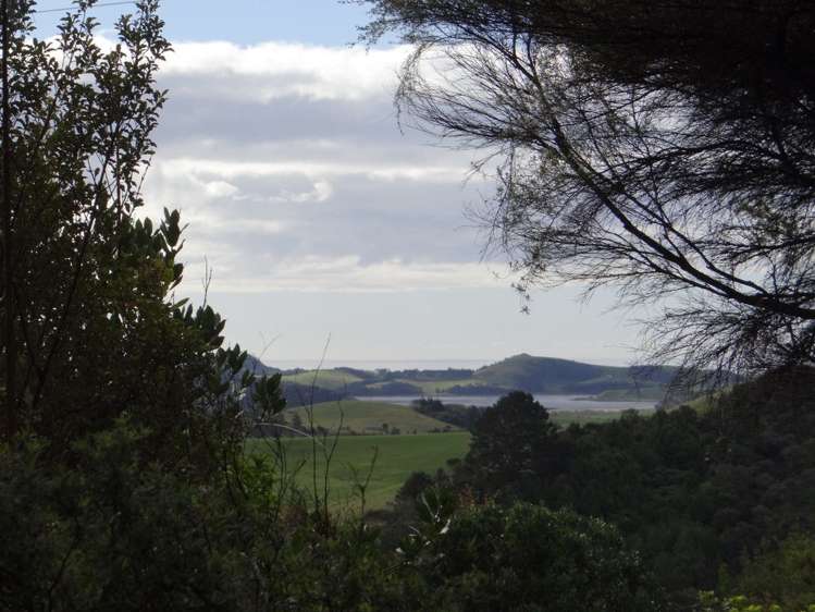 206 Kauri Mountain Road Taiharuru_10