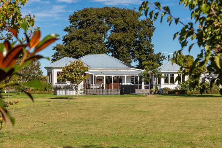 2154 State Highway 1 Spring Creek_16