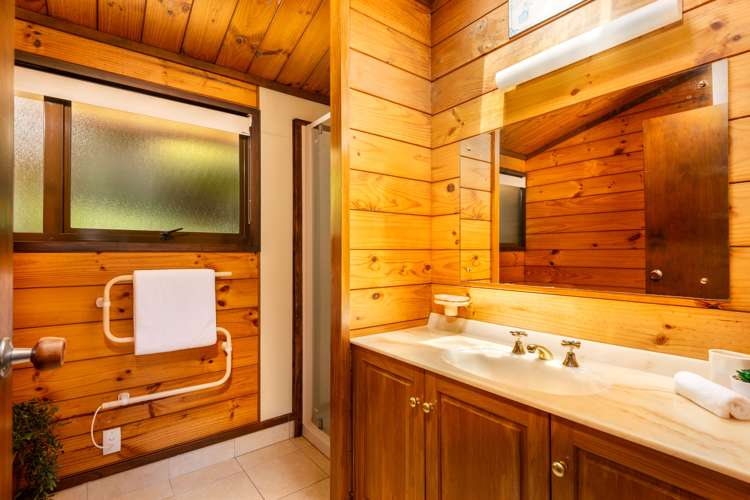 7a Roto Street Westown_13