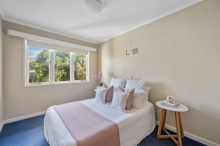 47 Sanders Avenue Marewa_10