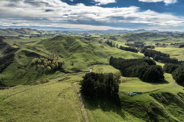 467 Waitahora Valley Road Dannevirke_4
