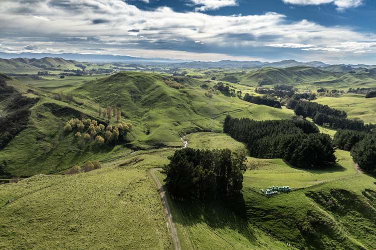 467 Waitahora Valley Road Dannevirke_4