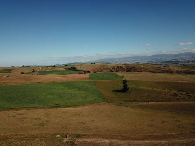 207 Tondros Road Fairlie_11