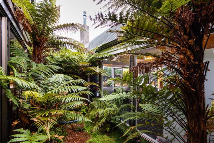 9 Truscott Grove Awapuni_6